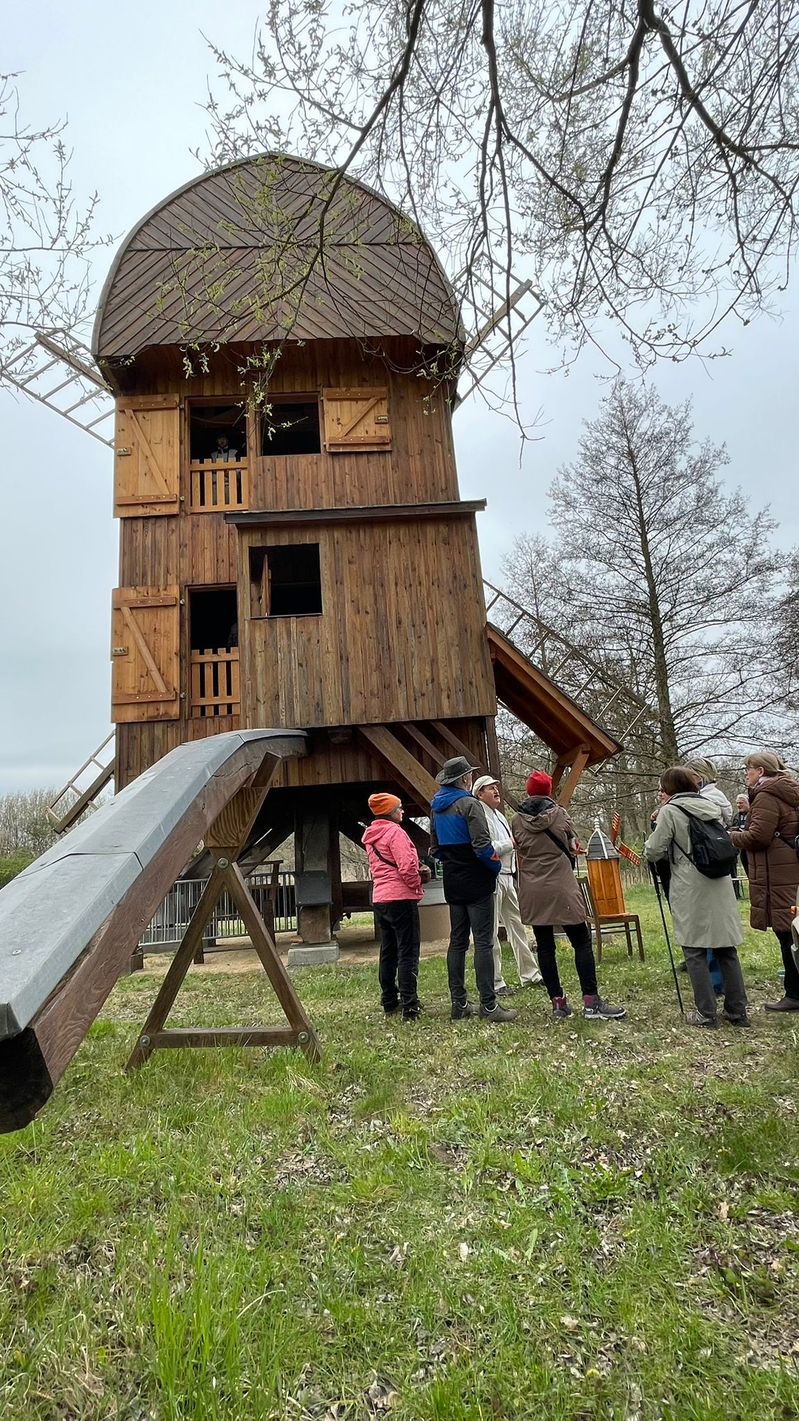 Ein Bild, das Gras, draußen, Himmel, Baum enthält.

Automatisch generierte Beschreibung