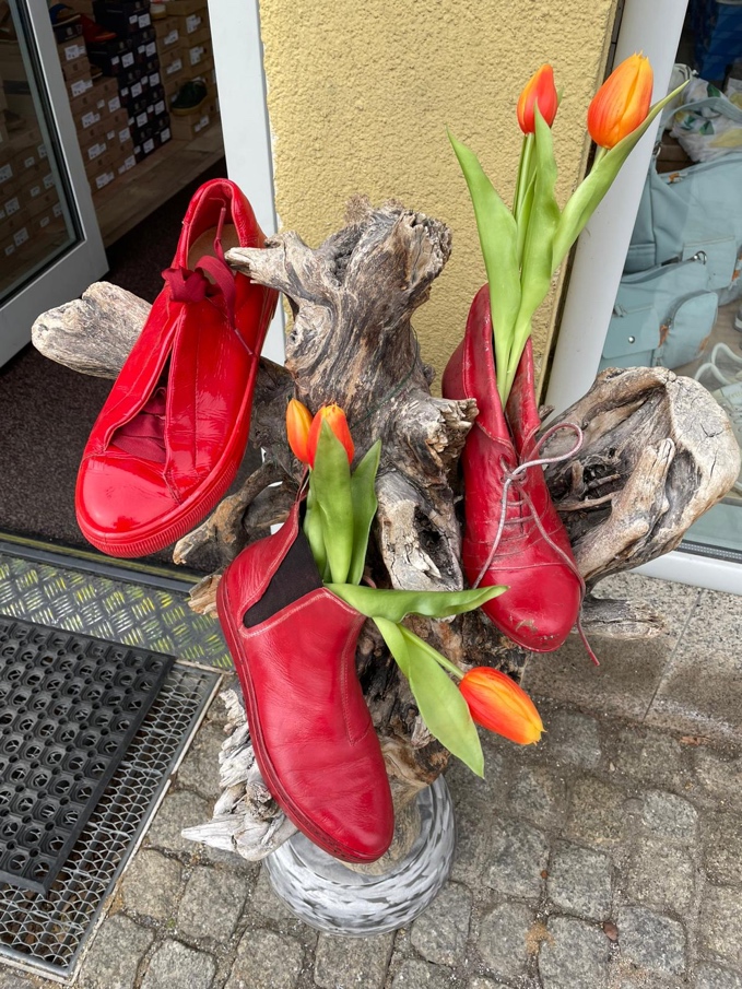 Ein Bild, das Schuhwerk, Gelände, Blumentopf, Zimmerpflanze enthält.

Automatisch generierte Beschreibung